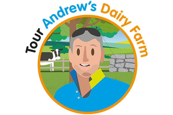 Tour Andrew's Dairy Farm